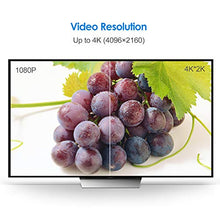 Carica l'immagine nel visualizzatore di Gallery, Rankie Cavo Displayport (DP) su (DP), 4K, 1,8m, Nero 1,8 m - Ilgrandebazar