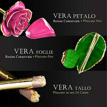 Carica l'immagine nel visualizzatore di Gallery, FORGIFTING Fiore di Vera Rosa Placcata con Oro 24K, Rose Conservate - Ilgrandebazar