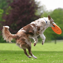 Carica l'immagine nel visualizzatore di Gallery, Trixie Dog Activity Disc Bite-Proof, Gioco per cani, Diametro 23cm,... - Ilgrandebazar