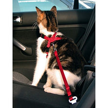 Carica l'immagine nel visualizzatore di Gallery, Trixie - Pettorina per automobile gatti 20 - 50 cm adjustable, rosso