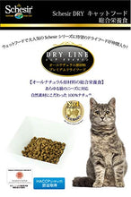Carica l'immagine nel visualizzatore di Gallery, Schesir Gatto Kitten Gr 400