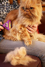Carica l'immagine nel visualizzatore di Gallery, Furminator Strumento Standard per Il deShedding del Sottopelo Grande - Ilgrandebazar