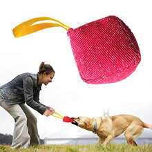 Carica l'immagine nel visualizzatore di Gallery, PetGens Manicotto per Cani, con Una Maniglia, Giochi interattivi cani,...