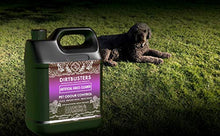 Carica l'immagine nel visualizzatore di Gallery, Dirtbusters, detergente per erba artificiale animali 1 x 5 litres