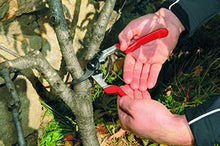 Carica l'immagine nel visualizzatore di Gallery, FELCO 6996013 Forbici per Potatura - Ilgrandebazar