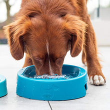 Carica l'immagine nel visualizzatore di Gallery, hownd Hero Bowl Ocean Blue