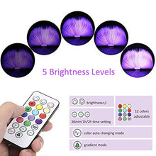 Carica l'immagine nel visualizzatore di Gallery, Lampada Libro RGB,Tomshine Led a Forma di Libro,12 colori che...