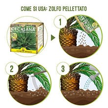 Carica l'immagine nel visualizzatore di Gallery, I Consigli Dell'Esperto Cycasana Concime Specifico per Cycas