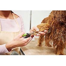 Carica l'immagine nel visualizzatore di Gallery, Tagliaunghie per Cani Professionale Verde - Ilgrandebazar