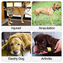 Carica l'immagine nel visualizzatore di Gallery, Imbracatura di supporto per cani la parte posteriore e le S, Torna rosso