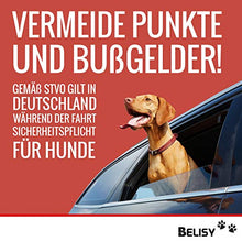 Carica l'immagine nel visualizzatore di Gallery, Imbracatura da auto BELISY per cani e gatti - regolabile - Nero - Ilgrandebazar