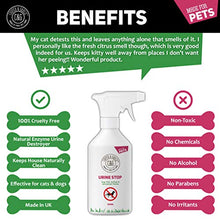 Carica l'immagine nel visualizzatore di Gallery, C&amp;G Urina Stop Spray per Repellente Gatti e Cani | e Gatti...