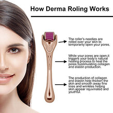 Carica l'immagine nel visualizzatore di Gallery, Derma Roller, Molyhood 540-aghi 0,5mm rullo di alta qualità Type 1 - Ilgrandebazar
