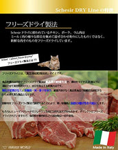 Carica l'immagine nel visualizzatore di Gallery, Schesir Gatto Kitten Gr 400