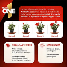 Carica l'immagine nel visualizzatore di Gallery, 5