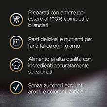 Carica l'immagine nel visualizzatore di Gallery, Cesar Scelta dello Chef Cibo per Cane, Pollo alla Griglia con Riso Integrale... - Ilgrandebazar