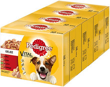 Carica l'immagine nel visualizzatore di Gallery, Pedigree Vital Protection, Cibo per cani con carne 48 Buste (4 x 12 x 100g)