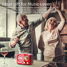 Carica l'immagine nel visualizzatore di Gallery, PRUNUS Radio a transistor ricaricabile Bluetooth in stile Classico Retro...