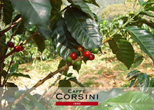 Carica l'immagine nel visualizzatore di Gallery, Caffè Corsini Compagnia dell'Arabica Colombia 100% Arabica 4 x 18
