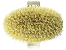 Carica l'immagine nel visualizzatore di Gallery, Hydrea London, Spazzola in con setole fibra di cactus, per spazzolatura a... - Ilgrandebazar