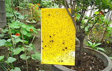 Carica l'immagine nel visualizzatore di Gallery, Ecwin 20 Pezzi Trappola per Mosche Trappole Appiccicose Gialle Plant 20 - Ilgrandebazar