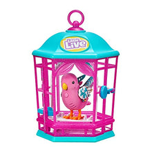 Carica l'immagine nel visualizzatore di Gallery, Giochi Preziosi- LLP Cocoritos New S1 con Gabbietta, LPB08000