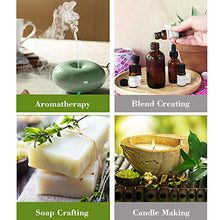 Carica l'immagine nel visualizzatore di Gallery, BEVILLE Oli Essenziali per Diffusori, Aromaterapia Olio Essenziale Biologici... - Ilgrandebazar
