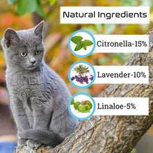 Carica l'immagine nel visualizzatore di Gallery, Collare per pulci di Gatto-Collare insetticidi gatto-12 Mesi gray
