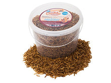 Carica l'immagine nel visualizzatore di Gallery, Chubby Mealworms 5 litri di camole secche per uccelli selvatici - Ilgrandebazar