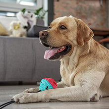 Carica l'immagine nel visualizzatore di Gallery, VZATT Pet Palla con Ventosa, Giocattoli da Masticare per Cani, Gioco blu