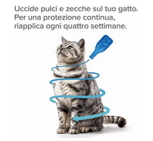 Carica l'immagine nel visualizzatore di Gallery, 5
