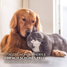 Carica l'immagine nel visualizzatore di Gallery, AniForte Omega-3 Capsule di Olio Salmone per Cani e Gatti 200 -...