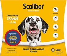 Carica l'immagine nel visualizzatore di Gallery, 1