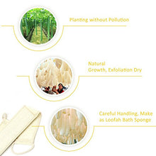 Carica l'immagine nel visualizzatore di Gallery, Spugna di Luffa Esfoliante Dighealth, per Doccia, Esfoliante... - Ilgrandebazar