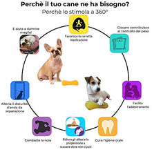 Carica l'immagine nel visualizzatore di Gallery, FarmTech Set Giochi per Cani Piccoli e Medium - 3 Ossi in Gomma Resistente... - Ilgrandebazar