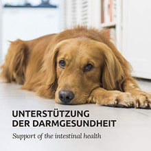 Carica l'immagine nel visualizzatore di Gallery, AniForte Stomaco Delicatamente per Cani 500g - Supporta la digestione, Lega...
