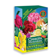 Carica l'immagine nel visualizzatore di Gallery, 0