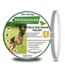 Carica l'immagine nel visualizzatore di Gallery, Collare Antipulci Cane, per Cani e Zecche Regolabile 1pack