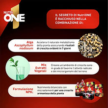 Carica l'immagine nel visualizzatore di Gallery, 4