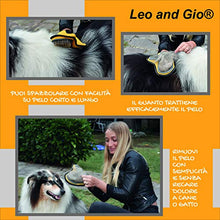 Carica l'immagine nel visualizzatore di Gallery, Leo and Gio - Guanto per Cani e Gatti, Spazzola e Rimuovi Pelo Lungo e... - Ilgrandebazar