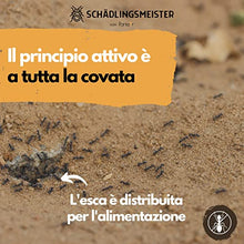 Carica l'immagine nel visualizzatore di Gallery, Panteer ® Lattina di esca per formiche - 4 esche per formiche - Facile controllo delle formiche con veleno per formiche - Contro più di 3 specie - Per interni e per le formiche nel prato