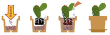 Carica l'immagine nel visualizzatore di Gallery, Seramis, granuli di argilla come terra vegetale 20x10x39 cm, Rotbraun - Ilgrandebazar