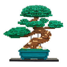 Carica l'immagine nel visualizzatore di Gallery, Nanoblock- NB039 Bonsai Matsu Giocattolo, Multicolore - Ilgrandebazar