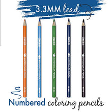 Carica l'immagine nel visualizzatore di Gallery, Zenacolor 72 Matite Colorate Acquerellabili, Numerate, con Pennello in... - Ilgrandebazar