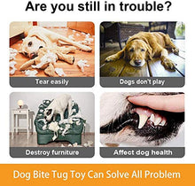 Carica l'immagine nel visualizzatore di Gallery, PetGens Manicotto per Cani, con Una Maniglia, Giochi interattivi cani,...