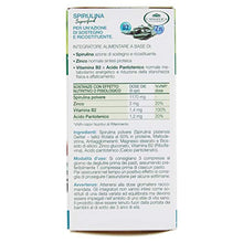 Carica l'immagine nel visualizzatore di Gallery, L'Angelica Spirulina - Integratore Ad Azione Ricostituente - 40 g