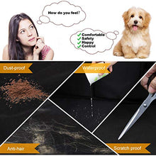 Carica l'immagine nel visualizzatore di Gallery, Wimypet Seggiolino Auto per Cani con Cintura di Sicurezza, Impermeabile... - Ilgrandebazar