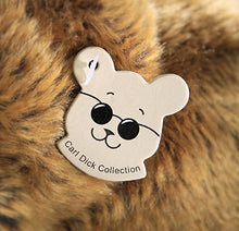 Carica l'immagine nel visualizzatore di Gallery, Carl Dick Peluche, Pappagallo burattino 25cm 2430 - Ilgrandebazar