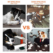 Carica l'immagine nel visualizzatore di Gallery, Toozey Giochi per Cani di Piccola Taglia/Cuccioli - 7pcs Cane... - Ilgrandebazar