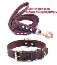 Carica l'immagine nel visualizzatore di Gallery, Collare XS:0.6''width,Neck 9.4-11.8''(24-30cm), Marrone/Non personalizzato